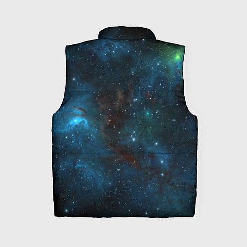 Женский жилет NASA / 3D-Черный – фото 2