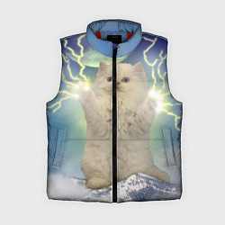 Женский жилет Грозовой Котик, цвет: 3D-красный