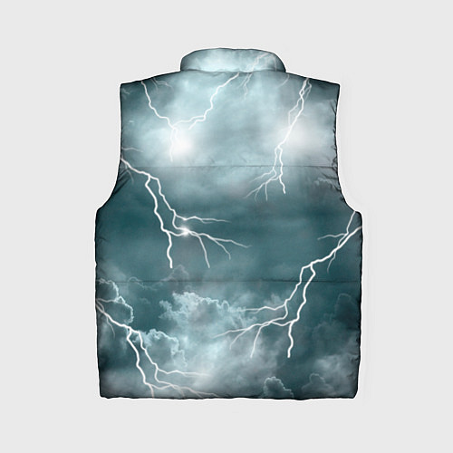 Женский жилет Грозовой кошак / 3D-Черный – фото 2