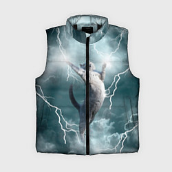 Женский жилет Грозовой кошак, цвет: 3D-черный