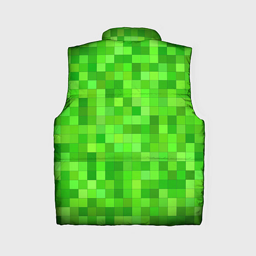 Женский жилет MINECRAFT / 3D-Черный – фото 2