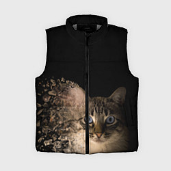 Женский жилет Disintegrating Cat, цвет: 3D-светло-серый