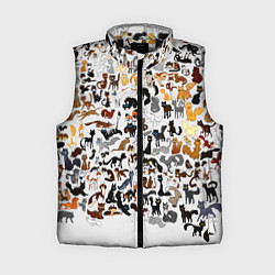 Женский жилет Котики, цвет: 3D-черный