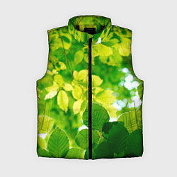 Женский жилет Листья, цвет: 3D-черный