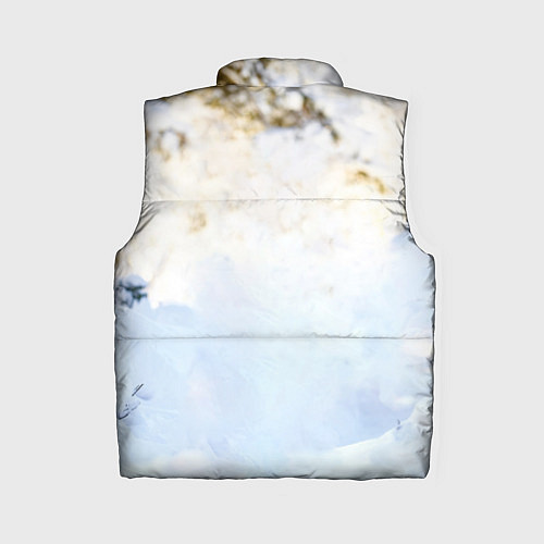 Женский жилет Я зимой / 3D-Черный – фото 2