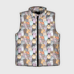 Женский жилет Котики