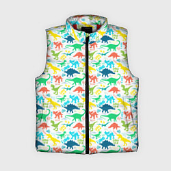 Женский жилет DINOSAUR