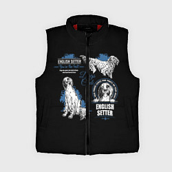 Женский жилет Английский Сеттер English Setter
