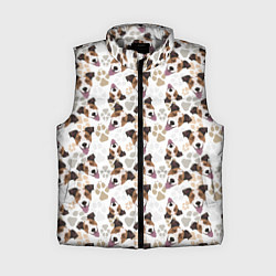 Женский жилет Джек Рассел Терьер