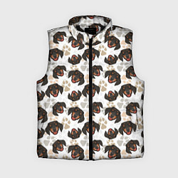 Женский жилет Такса Dachshund Dog