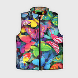Женский жилет Стая бабочек Pattern