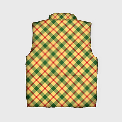 Женский жилет Желто-зеленая Клетка / 3D-Черный – фото 2