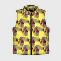 Женский жилет Попугай Корелла Орёт Мем, цвет: 3D-черный