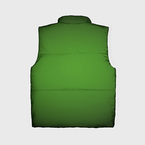 Женский жилет Зеленый с затемняющей виньеткой / 3D-Черный – фото 2