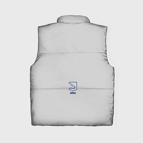 Женский жилет LDLC OL форма / 3D-Светло-серый – фото 2