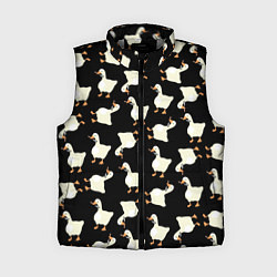 Женский жилет Паттерн с гусями