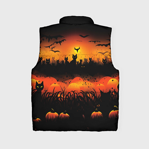 Женский жилет Кошки хэллоуина / 3D-Черный – фото 2