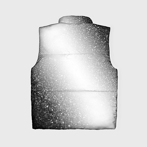 Женский жилет Monaco sport на светлом фоне по-вертикали / 3D-Черный – фото 2