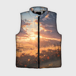 Женский жилет Вечерний закат - аниме, цвет: 3D-черный