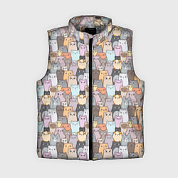 Женский жилет Котики