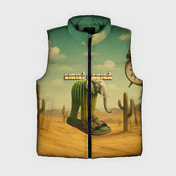 Женский жилет Lirili Larila мем