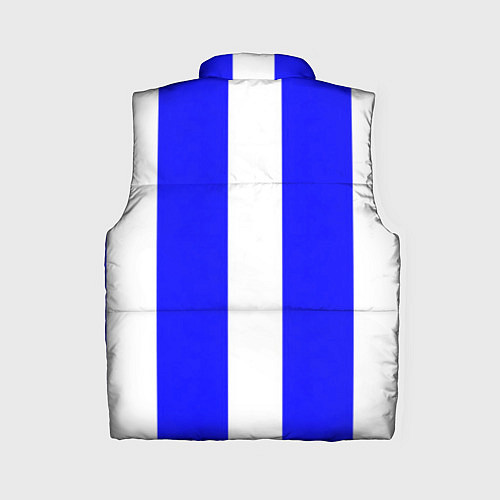Женский жилет Color white blue line / 3D-Черный – фото 2