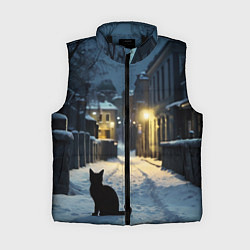 Женский жилет Чёрный кот на пустой зимней улице, AI, цвет: 3D-черный