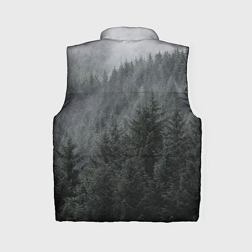 Женский жилет Древние боги суровых лесов / 3D-Черный – фото 2