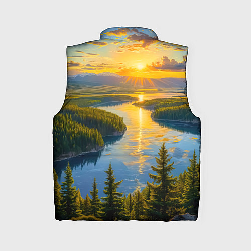 Женский жилет Золотой путь реки / 3D-Черный – фото 2