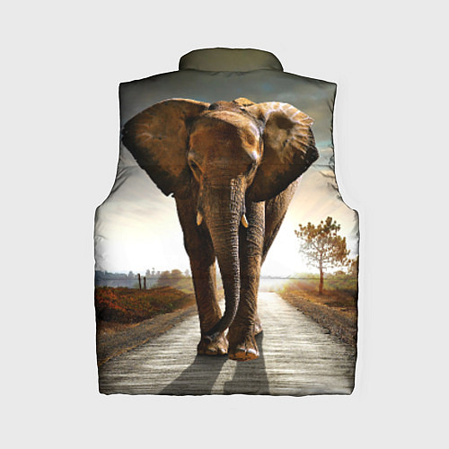 Женский жилет Дикий слон / 3D-Черный – фото 2