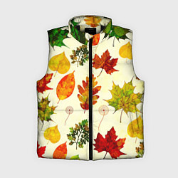 Женский жилет Осень