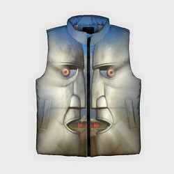 Женский жилет Pink Floyd The division bell, цвет: 3D-светло-серый