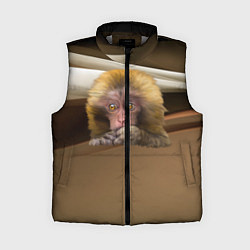 Женский жилет Мартышка