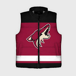 Женский жилет Arizona Coyotes, цвет: 3D-светло-серый