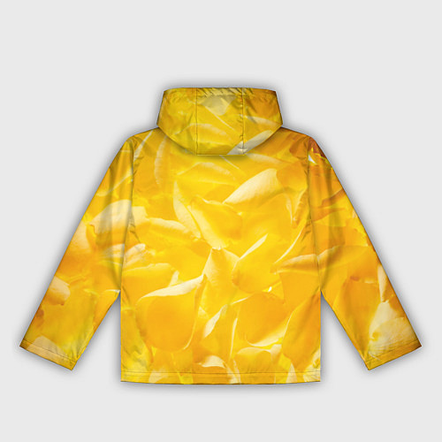 Женская ветровка Pikachu / 3D-Черный – фото 2