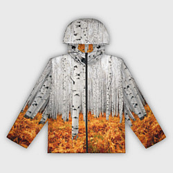 Женская ветровка Березовая роща