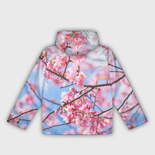 Женская ветровка Ветки Сакуры / 3D-Белый – фото 2