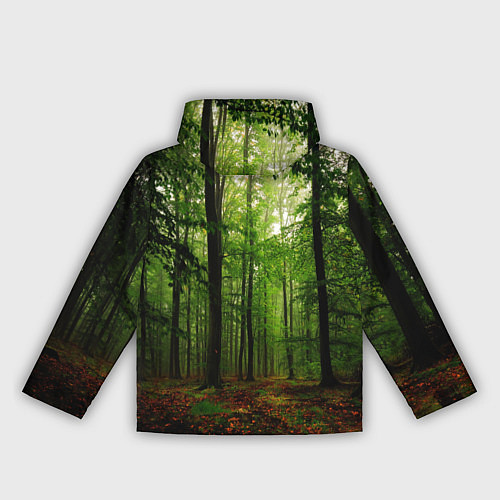 Женская ветровка Лес / 3D-Черный – фото 2