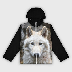 Ветровка с капюшоном женская Волк, цвет: 3D-белый