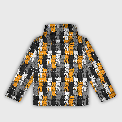 Женская ветровка Злые Коты / 3D-Белый – фото 2