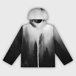 Женская ветровка Красивый лес и туман