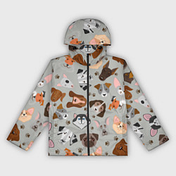 Женская ветровка Dog pattern color