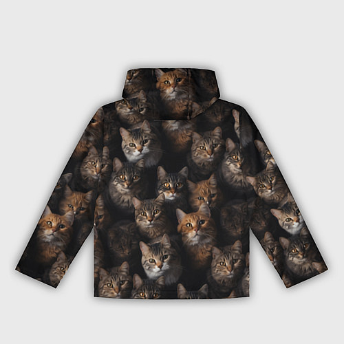 Женская ветровка Паттерн из котов / 3D-Черный – фото 2