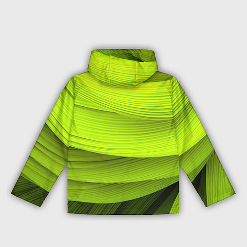 Женская ветровка Зеленый абстрактный фон / 3D-Белый – фото 2
