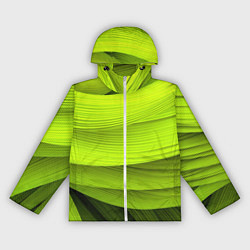 Ветровка с капюшоном женская Зеленый абстрактный фон, цвет: 3D-белый