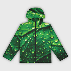 Ветровка с капюшоном женская Утренняя роса, цвет: 3D-черный