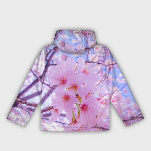 Женская ветровка Цветущая сакура на голубом фоне / 3D-Белый – фото 2