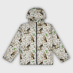 Ветровка с капюшоном женская Совы и перья, цвет: 3D-черный