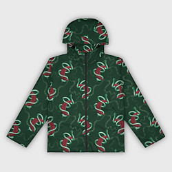 Ветровка с капюшоном женская Зеленая змея символ 2025 года на красной луне, цвет: 3D-черный