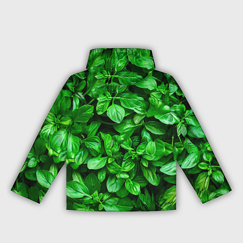 Женская ветровка Базилик зеленый / 3D-Белый – фото 2